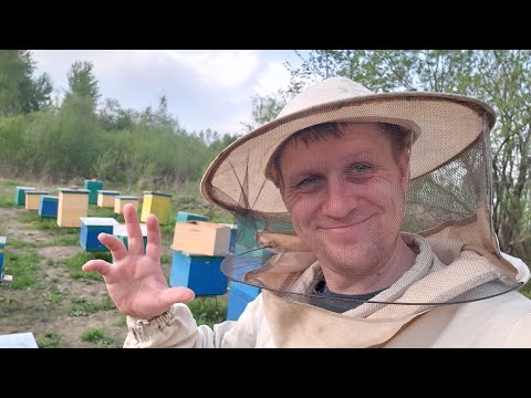 Видео: Отводки. Рассказываю как сделал. Проще не придумаешь.