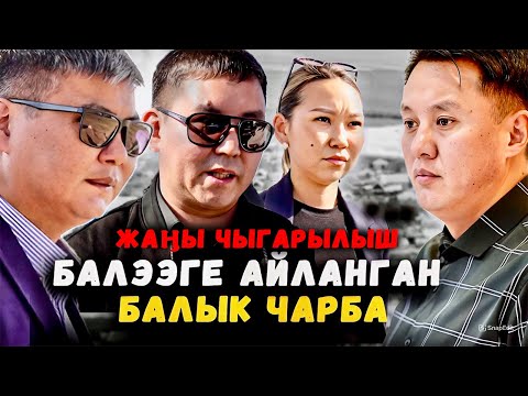 Видео: Балээге айланган балык чарба | Мурас-Ордо|Улукбек Карыбек уулу