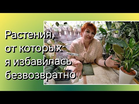Видео: Растения, от которых я избавилась без сожаления и не хочу больше выращивать