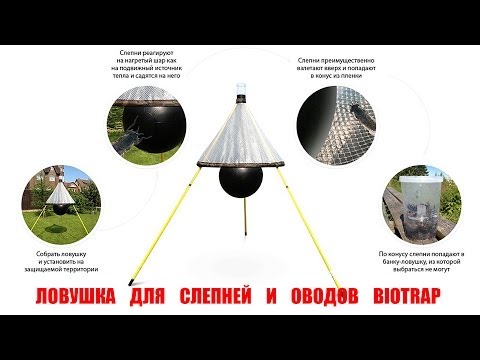 Видео: Ловушка для слепней и оводов BioTrap