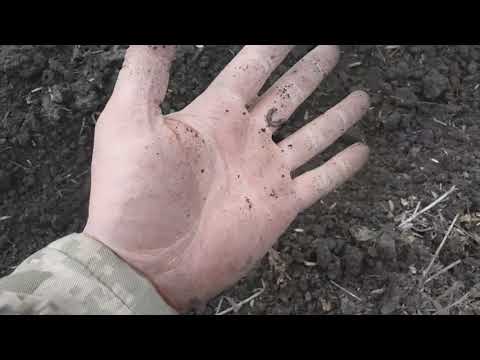 Видео: No-till перший день посіву кукурудзи 21.04.20