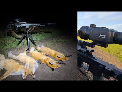 Видео: Охота на лисицу!!! Начало сезона в Сибири!!! Тепловизионный прицел RikaNV Lesnik2 650L