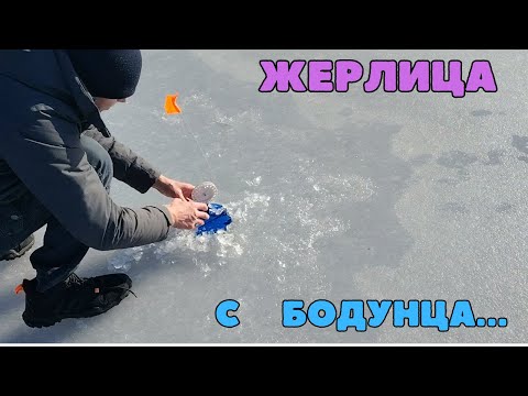 Видео: Рыбачим в кайф. Зимняя жерлица.