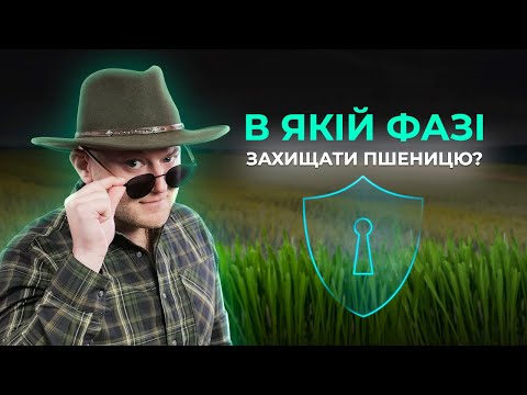 Видео: ЯКА НАЙВАЖЛИВІША ФАЗА ЗАХИСТУ НА ЯЧМЕНІ ТА ПШЕНИЦІ? #ОсновиФермерства