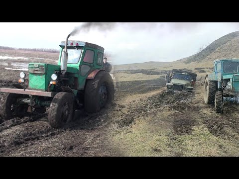 Видео: Трактора пытаются вытащить застрявшие грузовики.