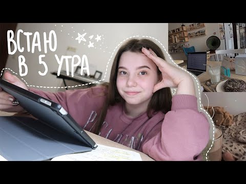 Видео: каждый день встаю в 5 утра