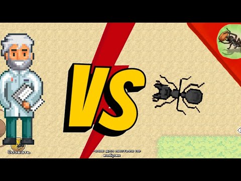 Видео: 🐜Pocket ants| пробую захватить муравейник доктора зани! Кто победит?⚔️ #skopa #memes #ants #video