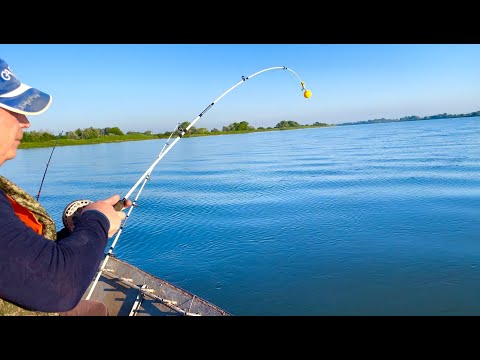 Видео: РЫБАЛКА С ЛОДКИ НА РЕКЕ ДОН!!!Хутор Рогожкино!ЛЕТО 2025