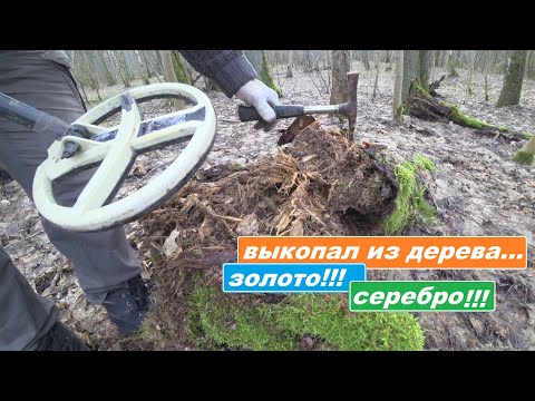 Видео: ВЫКУПИЛ ИНФОРМАЦИЮ! НЕ обманули! Где найти и ЗОЛОТО, и СЕРЕБРО! ПОИСК ЗЛАТА СЕРЕБРА С КОНСТАНТИНОМ