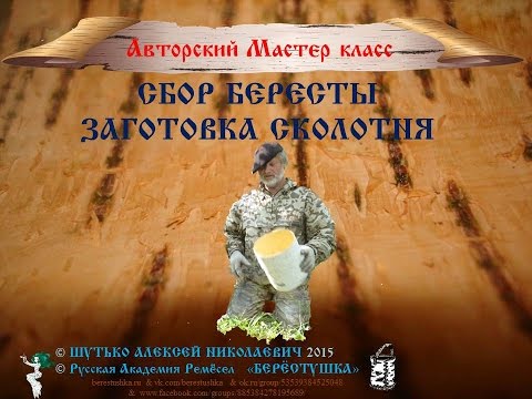 Видео: Сбор Бересты Сколотень МК ШУТЬКО