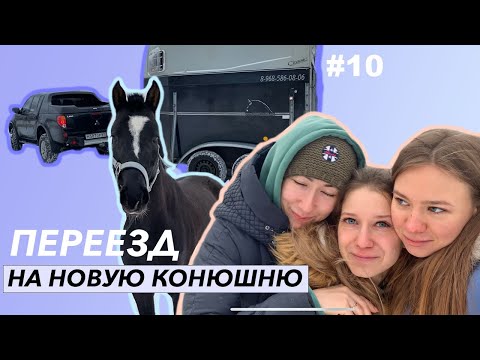 Видео: Я ПЕРЕЕХАЛА😢 ПРОЩАЮСЬ С ДЕВОЧКАМИ 🤍 РОЛЬФ И КОНЕВОЗ / КОНОГОЛИКИ