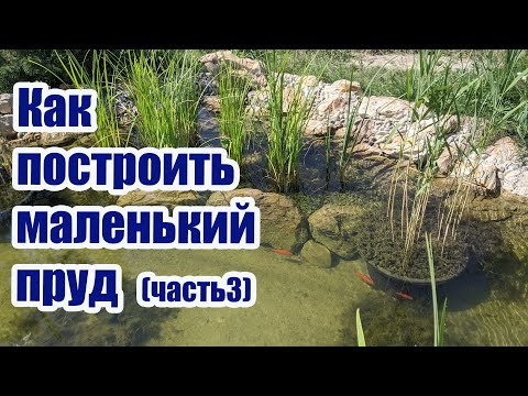 Видео: Как построить маленький пруд (часть3)
