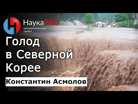 Видео: Голод в Северной Корее (КНДР) – Константин Асмолов | Корееведение | Научпоп