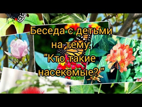 Видео: Беседа с детьми на тему: "Кто такие насекомые? "