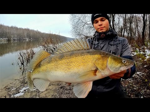 Видео: Трофейний СУДАК на ДЖИГ! Ловля судака на джиг взимку 2022. Зимовий спінінг на річці Десна!