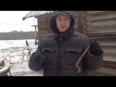 Видео: Сани для лошади