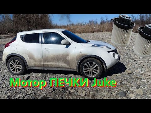 Видео: Шумит мотор печки Nissan Juke. Дерево от которого постоянные проблемы с авто.