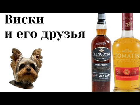 Видео: Лучшие из лучших Томатин 21 против Гленгоин 21