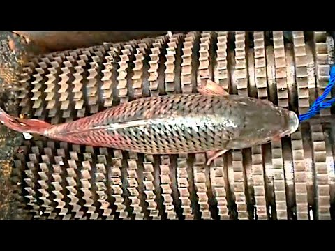 Видео: Процессы Производства, от Которых Волосы Встают Дыбом