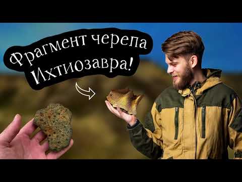 Видео: ПОИСК ОКАМЕНЕЛОСТЕЙ Морских Рептилий! Нашел фрагмент ЧЕРЕПА динозавра! Меня выгнали с карьера.
