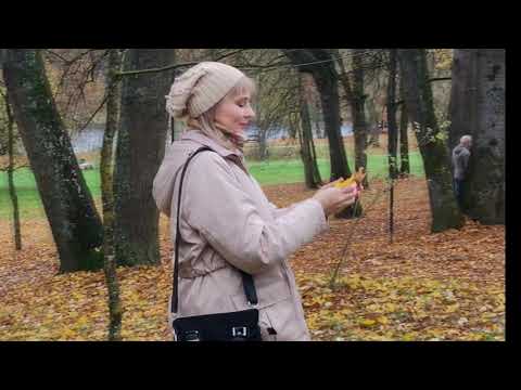 Видео: "Осень" стихотворение Натальи Крыж-Мартецкой, читает автор