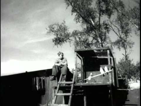 Видео: За фабричной заставой - Они были первыми