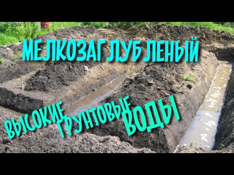 Видео: ФУНДАМЕНТ НА ГРУНТОВЫХ ВОДАХ / ВЫСОКИЕ ГРУНТОВЫЕ ВОДЫ / МЕЛКОЗАГЛУБЛЕНЫЙ ФУНДАМЕНТ / ДИАГОНАЛЬ