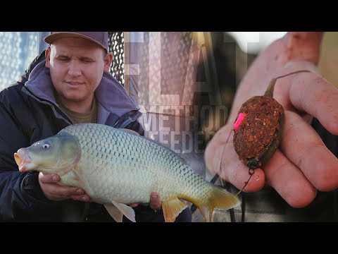 Видео: Ловля карпа в декабре.  Рыбалка на флэт фидер. Карпфишинг 2021.