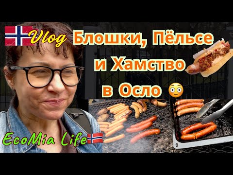 Видео: Что творится в Осло?! Блошиные рынки, Марафон, "Пёльсе"🌭 за копейки и Хамовитая Норвежка😱/Nº18-09.25