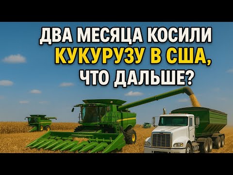 Видео: Что мы делаем после уборки кукурузы и сои?