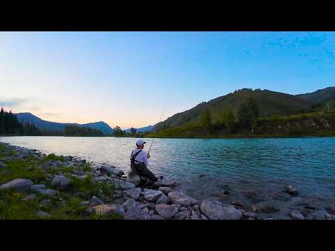 Видео: СНЯЛИ ДОМ В ТАЕЖНОЙ ДЕРЕВНЕ | РЫБАЛКА В РАЙСКОМ МЕСТЕ.