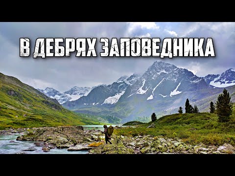 Видео: Алтай. По бурелому и бестропью к тайным уголкам заповедника 3. Неудачников - Йолдо - Семерых