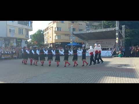 Видео: Ваяшко хоро