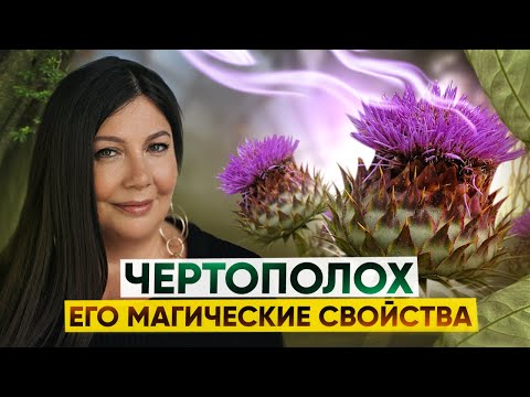 Видео: Магия чертополоха - Обычный сорняк, но способен вылечить самые тяжелые болезни