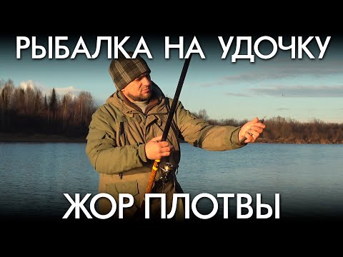 Видео: ГЛУБОКАЯ ОСЕНЬ / ЖОР ПЛОТВЫ / РЫБАЛКА НА УДОЧКУ
