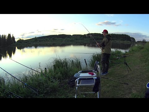 Видео: Рыбалка на карася и карпа на пруду.Карась на донку.Летняя рыбалка.Насадка на Карася.