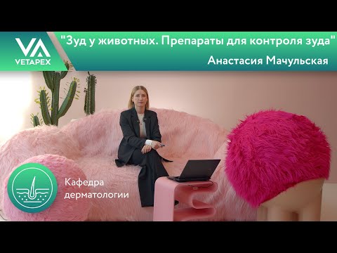 Видео: Кафедра Дерматологии "Зуд у животных. Препараты для контроля зуда"