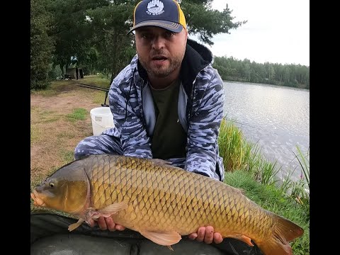 Видео: КАРПОВАЯ ЛОВЛЯ. 24 ЧАСА НА ПРУДУ АЛЬБЕРТА ЛАТВИЯ. Alberta Dīķi