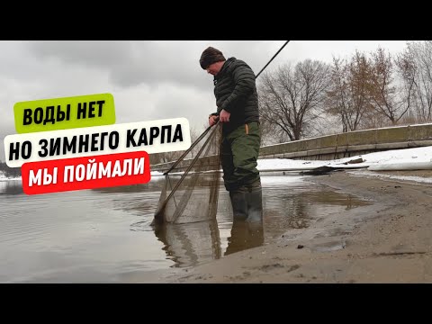 Видео: ЛОВИМ ЗИМНЕГО КАРПА в ЭКСТРЕМАЛЬНЫХ УСЛОВИЯХ без ВОДЫ 😱 РЫБАЛКА на МОСКВА реке!