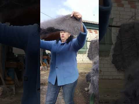 Видео: 26 октября 2025 г.Пуховые платочки с пуха Придонской породы коз.т.89020931602