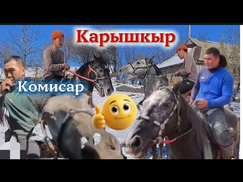 Видео: Карышкыр менен Комисар