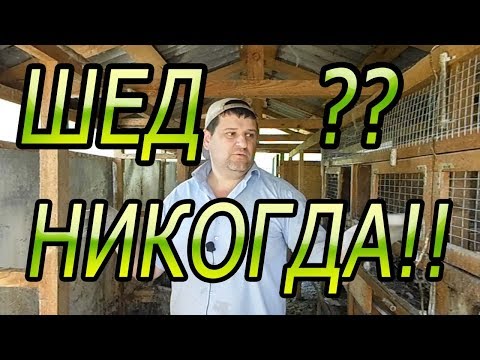 Видео: 8 ПРИЧИН НЕ СТРОИТЬ ШЕД ДЛЯ КРОЛИКОВ!!!