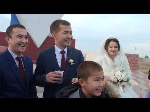 Видео: Шардара гулянка