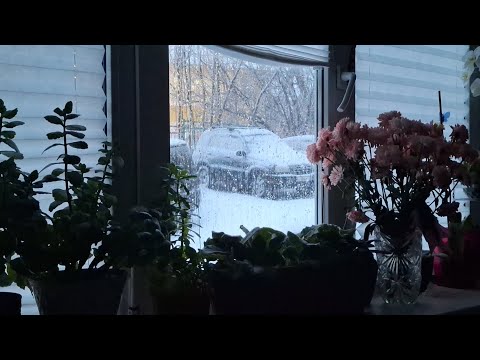 Видео: 11.11.25.ОТ БАСЬКИ ПРИВЕТ👋 КАМЧАТСКОЕ НЕНАСТЬЕ.☔️☔️☔️ 
