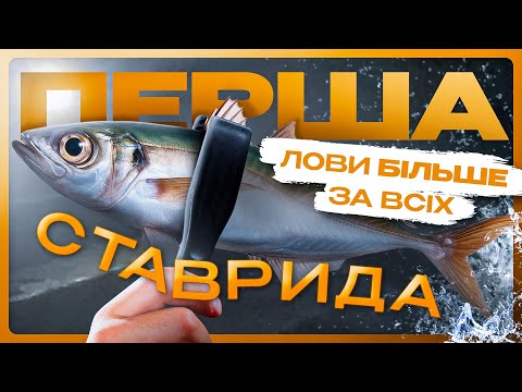 Видео: Ставрида пішла! Ловимо коли ніхто не ловить!