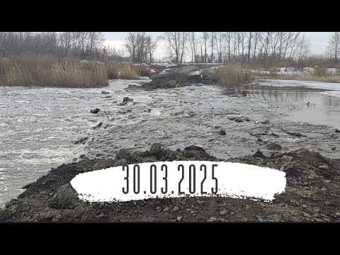 Видео: 30.03.2025год.#Казахстан #жизньвказахстане #селовказахстане #акмолинскаяобласть #атбасарскийрайон