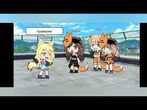 Видео: Собака лучший друг человека 🐕🐶🐺🐕‍🦺🦊