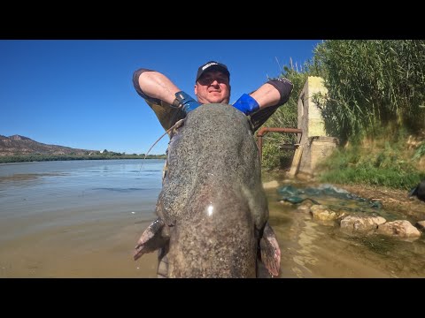 Видео: Day 2 Ebro Mequinenza Catfishing. Риболов на сом - ден 2 Ебро -  4K