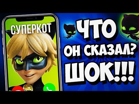 Видео: ЗВОНОК СУПЕРКОТУ ЛЕДИ БАГ