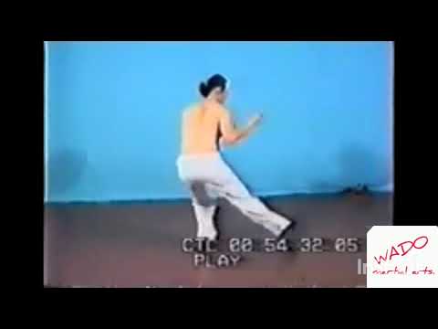 Видео: Да цзе шу . Юрий Сенчуков.